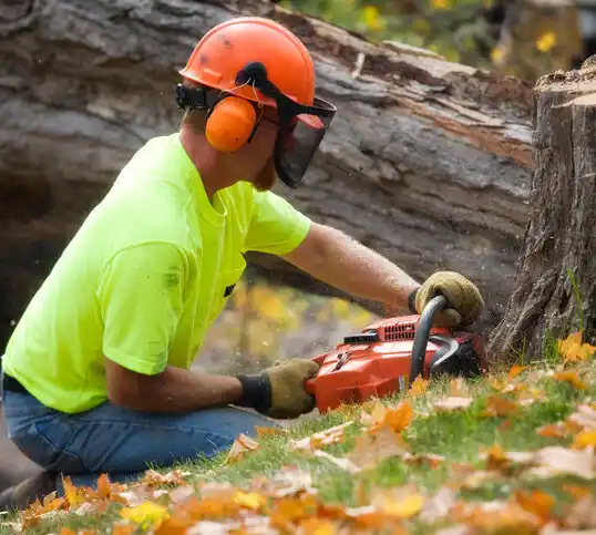 tree services Leitersburg